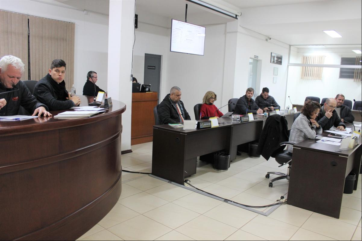 (Foto: Divulgação / Câmara) (Foto: Divulgação / Câmara)