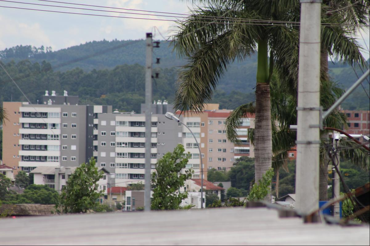 (Foto: Octacílio Freitas Dias) (Foto: Octacílio Freitas Dias)
