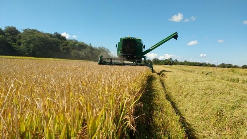 Fonte: Governo RS Fonte: Governo RS