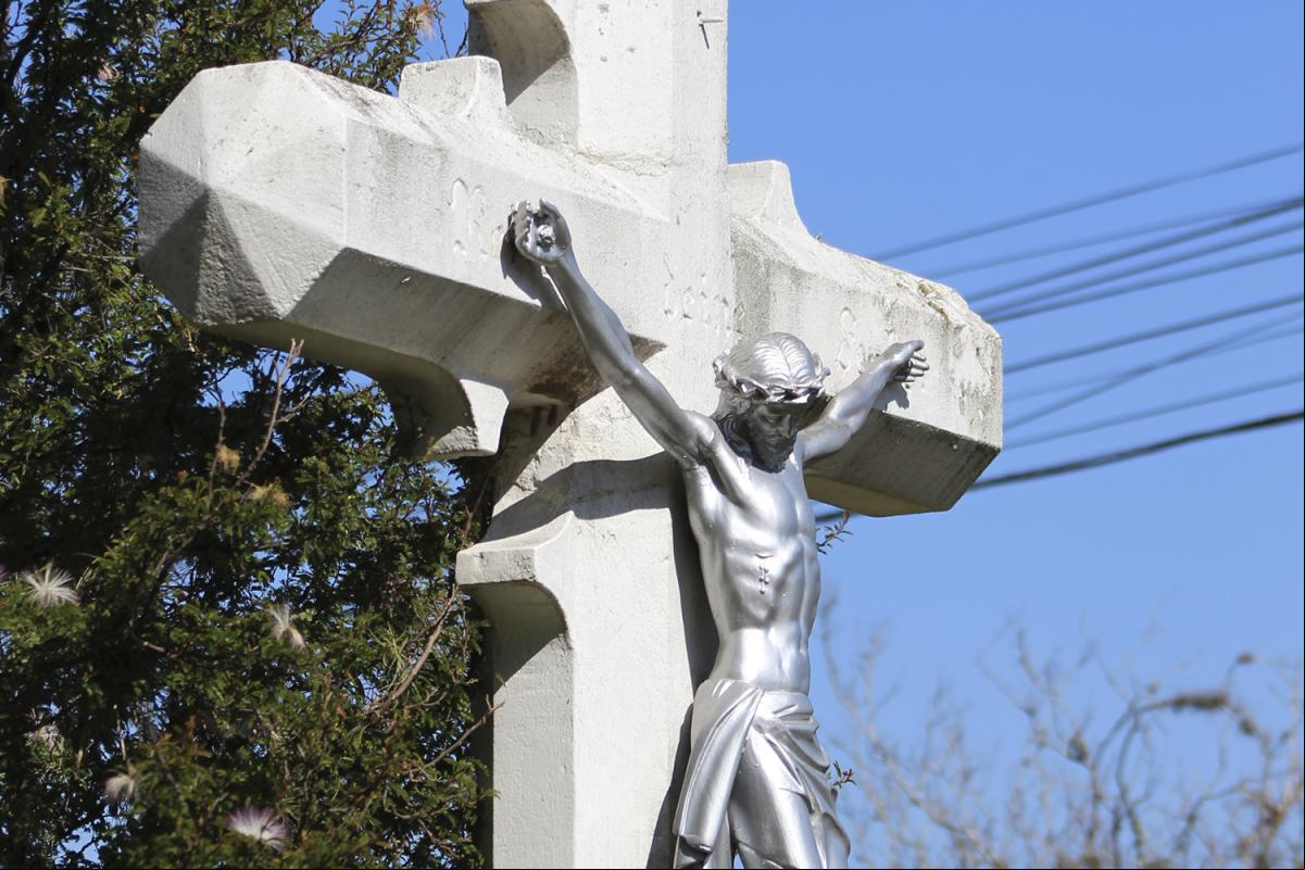 (Foto: Octacílio Freitas Dias)