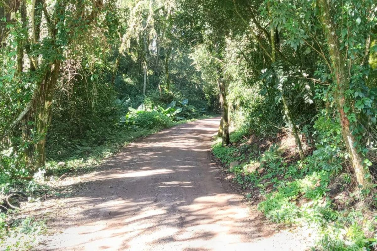 Execução ocorreu em estrada de chão batido que liga as avenidas Sapiranga e Campo Bom Execução ocorreu em estrada de chão batido que liga as avenidas Sapiranga e Campo Bom