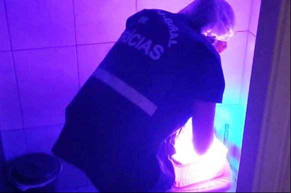 Com informações de GZH – Foto: Polícia Civil / Divulgação Com informações de GZH – Foto: Polícia Civil / Divulgação