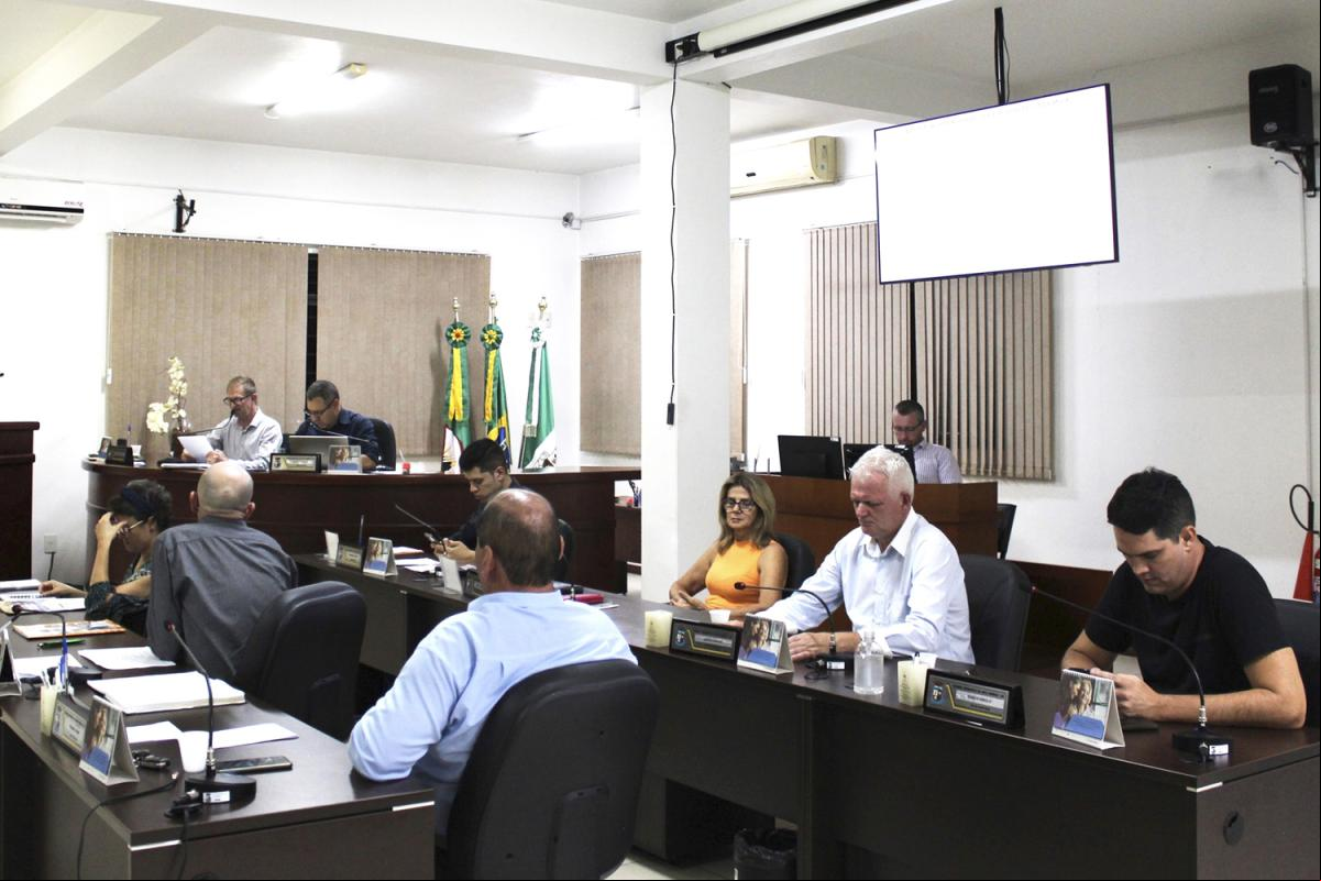 (Foto: Divulgação / Câmara) (Foto: Divulgação / Câmara)