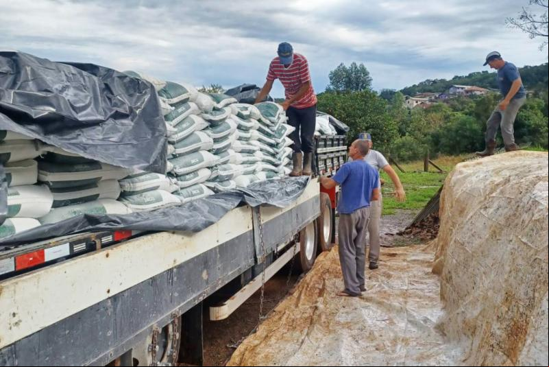 (Foto: Divulgação / PMDI)