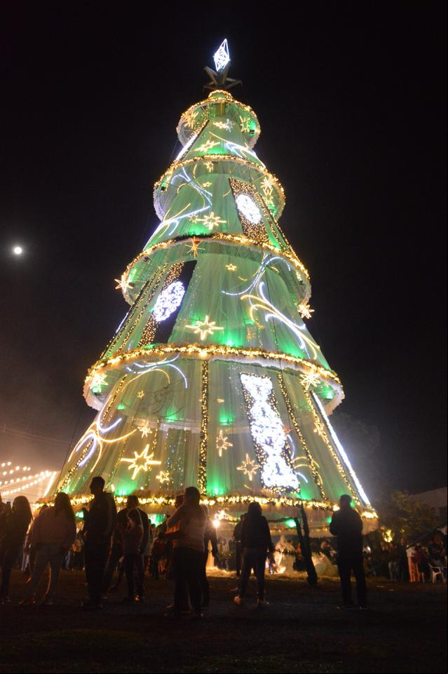 Árvore-Símbolo do Natal Gaúcho