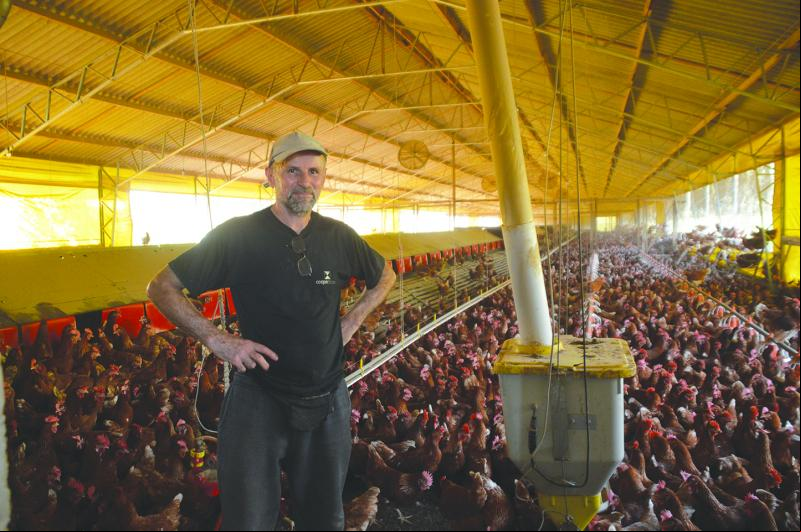 Ricardo é responsável pela criação das aves, coleta dos ovos e limpeza do local 