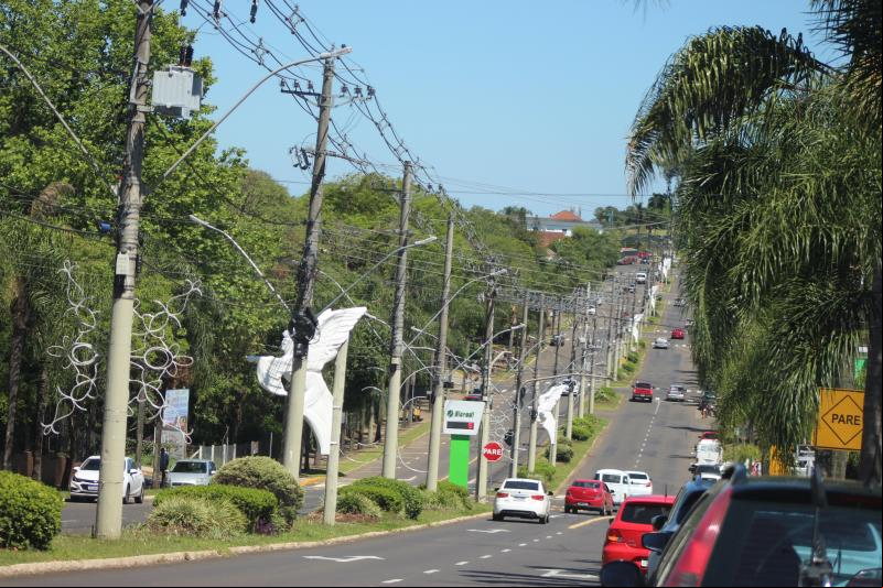 (Foto: Octacílio Freitas Dias)