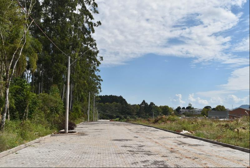 (Foto: Divulgação / PMDI)