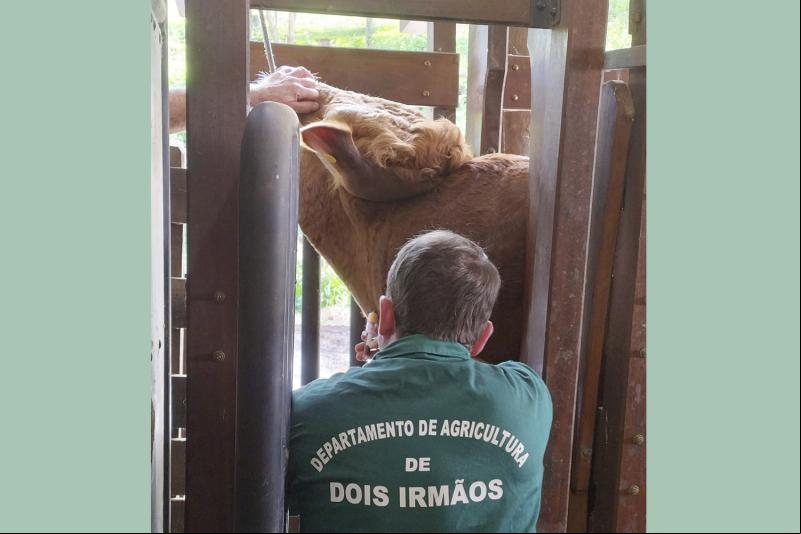 (Foto: Divulgação / PMDI)