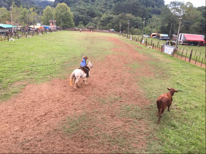 Cancha de laço do CTG Estância do Cotiporã, em Ivoti, recebeu tradicionalistas de toda a região (Foto: Divulgação)