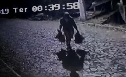 Imagens divulgadas pela polícia flagram indivíduo fugindo com as galinhas