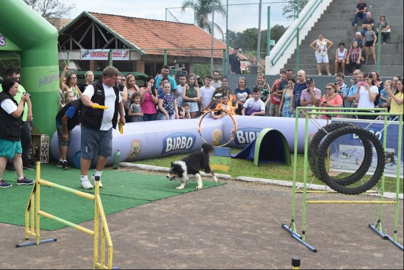 (Foto: Divulgação / PMDI)
