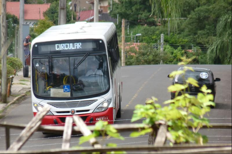 (Foto: Octacílio Freitas Dias)
