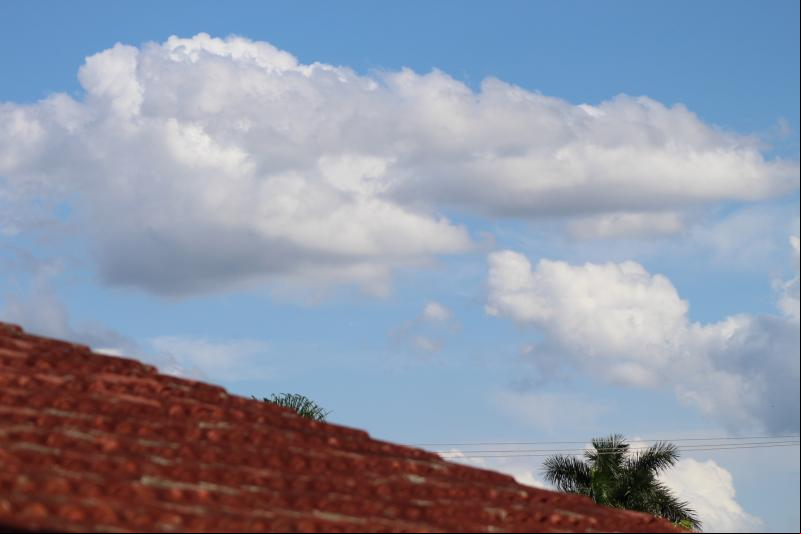 Pa. Cláudia P. S. Pacheco / Comunidade Evangélica – IECLB