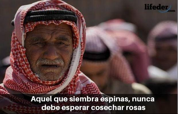 Por Alan Caldas – Editor