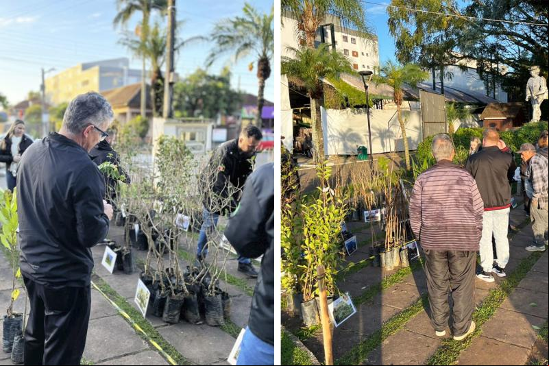 Semana do Meio Ambiente de Dois Irmãos encerrou com distribuição de mudas