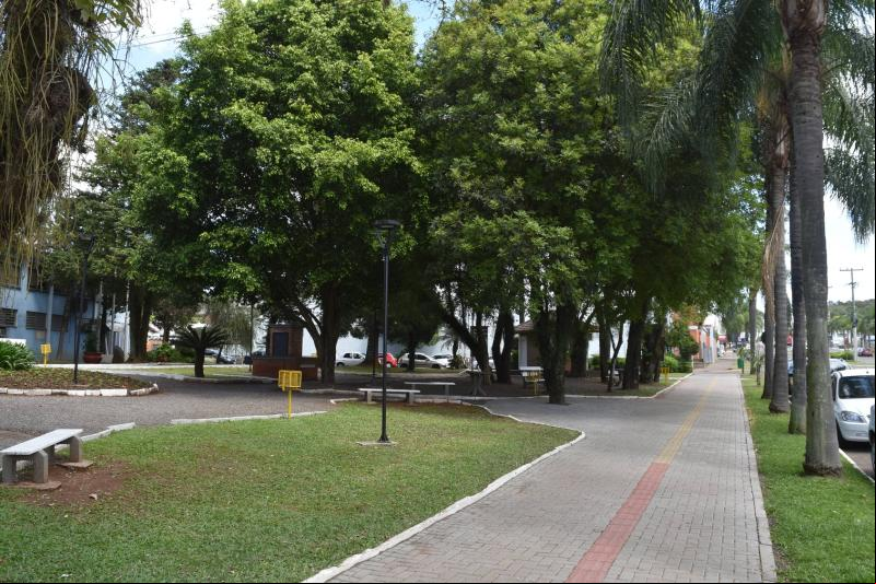(Foto: Divulgação / PMDI)